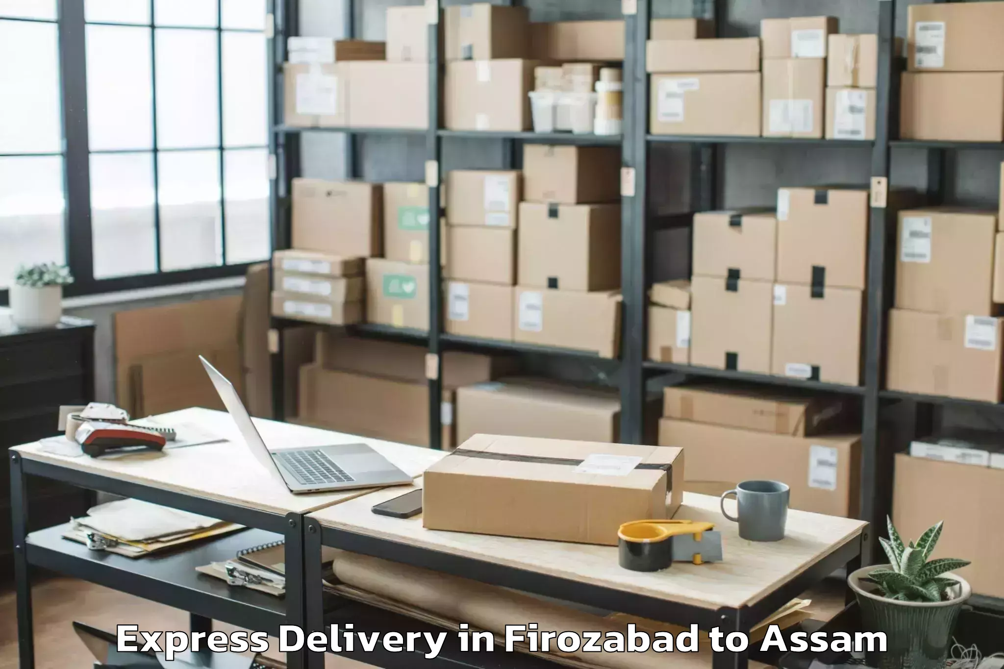 Top Firozabad to Tezpur University Express Delivery Available